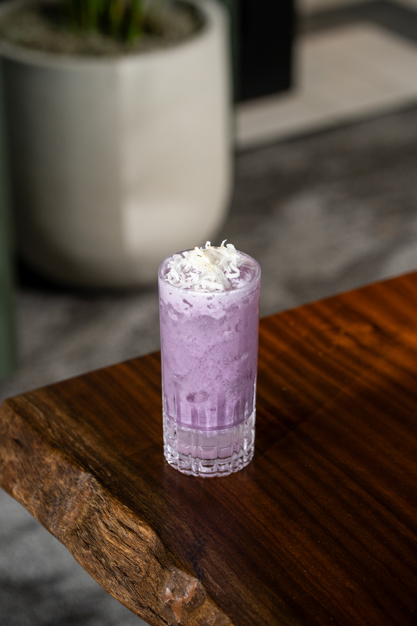 Chi-Chi Coloda-1_web – Copy